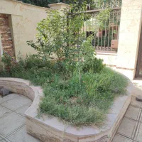 خدمات باغبانی|خدمات باغبانی و درختکاری|کرج, کوی کارمندان شمالی|دیوار