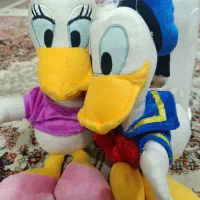 عروسک|اسباب‌بازی بچه|مشهد, دانشجو|دیوار