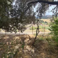 فروش زمین ۲۴۳ متری رودبار الیزه|فروش زمین و ملک کلنگی|رودبار, |دیوار