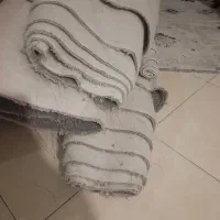 موکت نوتمیز