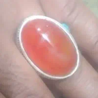 انگشتر فیلی خاص|کلکسیون اشیاء عتیقه|زابل, |دیوار