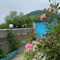 کلبه جنگلی روستای جوارم.|اجارهٔ کوتاه‌مدت آپارتمان و سوئیت|زیرآب, |دیوار