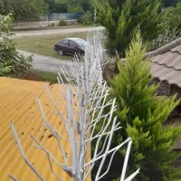 شاخ گوزنی ارتفاع ۹۰|مصالح و تجهیزات ساختمان|رشت, آزادگان|دیوار