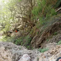 ۳۰۰ماهی ۱۲میلیون