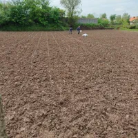 فروش ۱۳ هکتار زمین کشاورزی /چاه آب