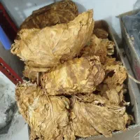 شرین و تند زیر قیمت بازار
