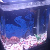 اکواریم  شرکتی شیشه خم سالم بدونه ماهی