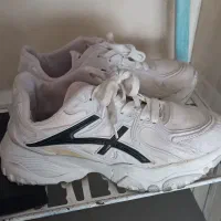 کتونی قیمت مناسب