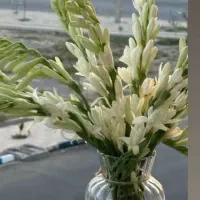 بلیط قم تهران