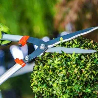 باغچه کاری گل کاری سمپاشی هرسکاری بیل زنی