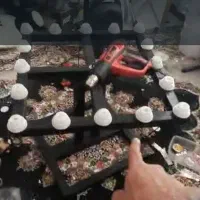 دستگاه برش چسب|ابزارآلات|شیراز, شهرک قمشه|دیوار