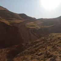 اجاره بلدوزر دی ۸ کا|خودرو سنگین|دزفول, |دیوار