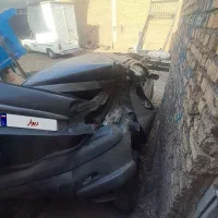 206 تصادفی مدل 83