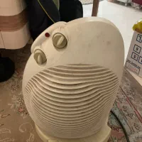 بخاری برقی دلونگی