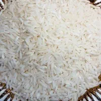 برنج هاشمی گیلان