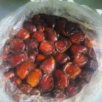 خرمای برحی آبادان . ارگانیک و خیلی لذیذ