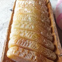عسل صددرصد طبیعی کردستان