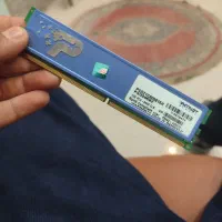 قطه کامپیوتر