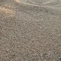 گندم کوهدشت|عمده‌فروشی|گرمخان, |دیوار