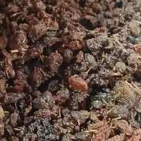 کشمش بیدانه سرکه ای|خوردنی و آشامیدنی|تاکستان, |دیوار