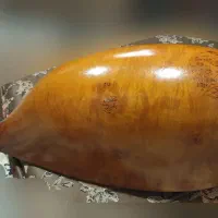 تنبور جوش کیکم مهر یاوری