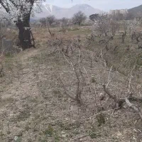 خدمات باغبانی