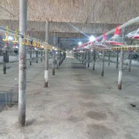 کارگر ساده و نیمه ماهر