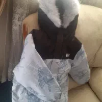 لباس مجلسی|لباس|کهریزک, |دیوار