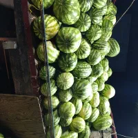 مسافر برای شمال، تهران، قم