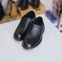 انواع کفش چرم مصنوعی|کیف، کفش، کمربند|اصفهان, تخت فولاد|دیوار