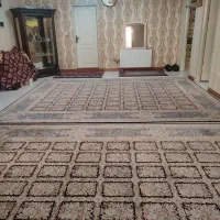 فایل-فروش-بهارستان-ها-رو-به-نما