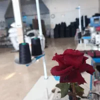 به چند چرخ کار وستکار خانوم نیازمندیم