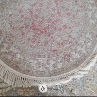پادری