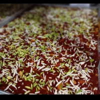 مسقطی مغزدار ویژه|عمده‌فروشی|شیراز, شهرک ولیعصر|دیوار