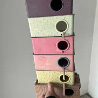 لانه لونه مرغ عشق و برزیلی