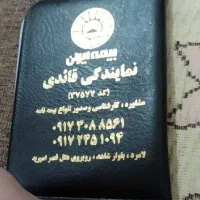 جاکارتی|کیف، کفش، کمربند|لامرد, |دیوار