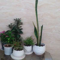 فروش مسکن مهر فولاد شهرمحله ای ۳