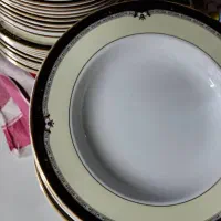 سرویس ۱۰۰ پارچه چینی زرین نو نو
