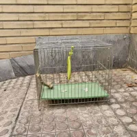 قفس کوچیک پرنده