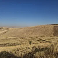 زمین کشاورزی دیم توافقی|فروش زمین و ملک کلنگی|روانسر, |دیوار