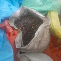 کشمش بیدانه افتابی پلوی