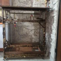 قفس پرنده (انواع طوطی سان ، عروس هلندی )