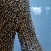 بلورمجلسی