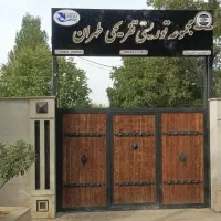 شاطر و کف زن