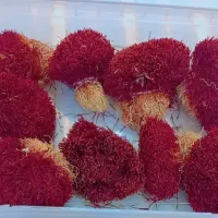 زعفران درجه یک نگین|خوردنی و آشامیدنی|گزیک, |دیوار