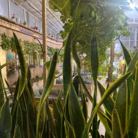 استخدام فوری نیروی اشپزخانه