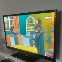 تلوزیون