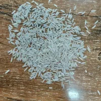 برنج کشت دوم درجه یک|خوردنی و آشامیدنی|زرگرشهر, |دیوار