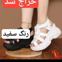 انلاین شاپ اهورا|کیف، کفش، کمربند|اهواز, فاز ۱ پادادشهر|دیوار