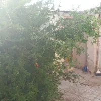 خانه ۹۰ متر ویلایی دوخوابه